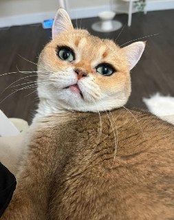 Иллюстрация 3