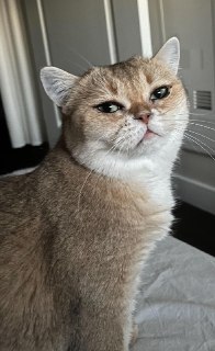 Иллюстрация 6