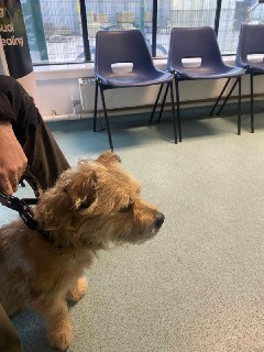 Иллюстрация 5