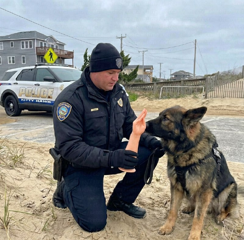 Иллюстрация 2