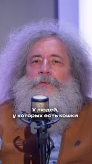 Мы любим котиков из-за паразитов?