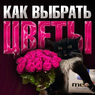 Как выбрать свежие цветы к 8 Марта: правила от Роскачества