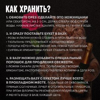 Иллюстрация 2