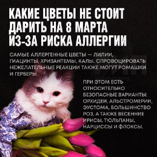 Иллюстрация 4