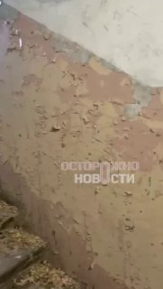 Иллюстрация 1