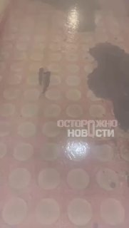 Иллюстрация 3