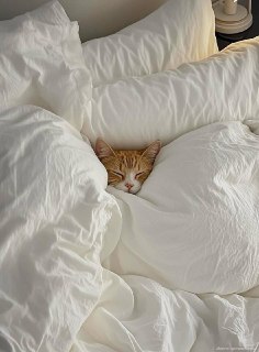 День тёплого одеяла отмечается сегодня