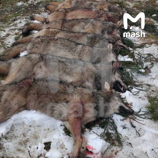 Иллюстрация 2