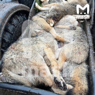 Иллюстрация 3