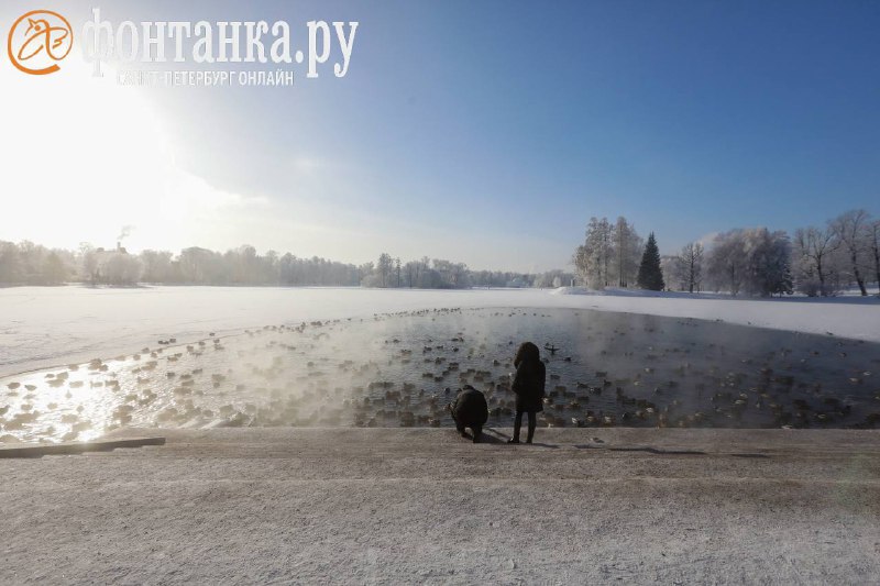 Погода в Петербурге: солнечно и до +5 градусов