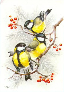 Стихотворение о зиме и весне от Светланы Мель