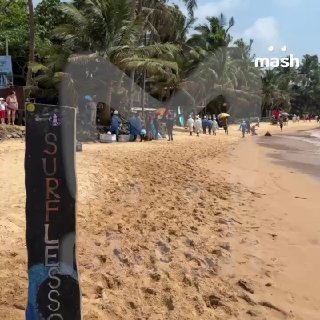 Мазут на пляже Шри-Ланки: последствия взрыва танкера