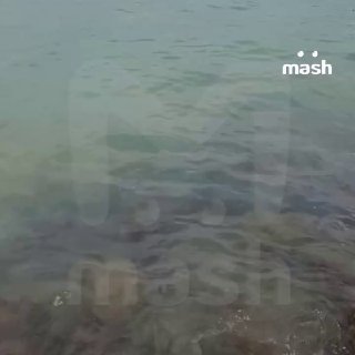 Иллюстрация 3