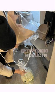 Иллюстрация 5