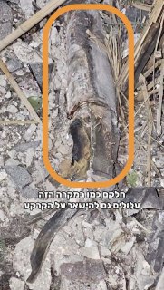 Иллюстрация 4