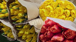 Москвичи устроили «бутонный штурм» на цветочном рынке перед 8 Марта