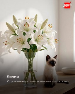 Иллюстрация 3