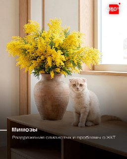 Иллюстрация 4