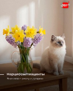 Иллюстрация 1