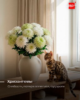 Иллюстрация 5