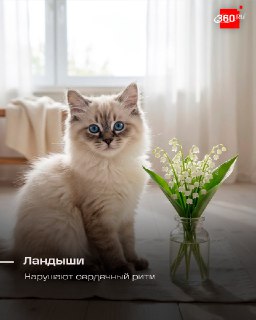 Иллюстрация 6