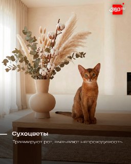 Иллюстрация 7