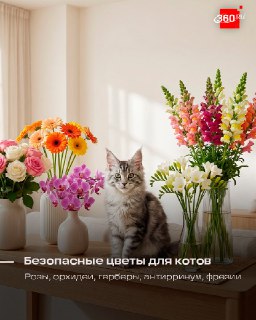 Иллюстрация 8