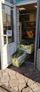 Петербург утопает в цветах перед 8 марта