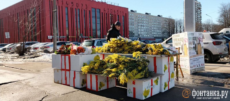 Иллюстрация 3