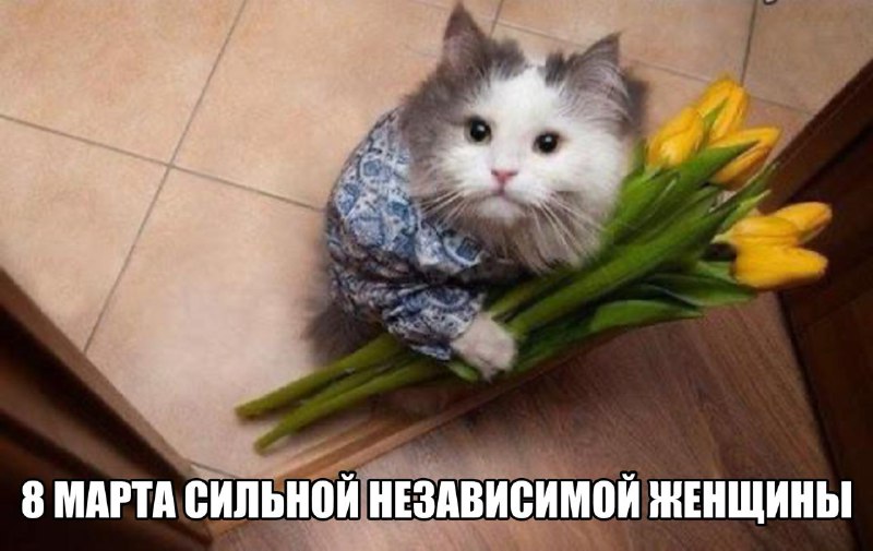 Как выбрать цветы к 8 Марта: советы от MAX