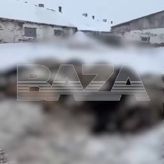 Эпидемия пастереллёза у скота в Сибири: массовый забой и запрет экспорта в Казахстан