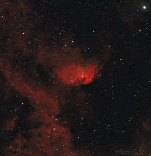 «Роскосмос» показал космические цветы к 8 марта