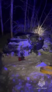 ДТП в Ленобласти: погибли два человека после столкновения автобуса с легковушкой