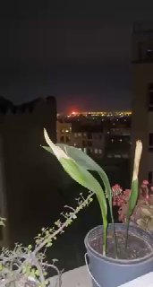 Иллюстрация 3