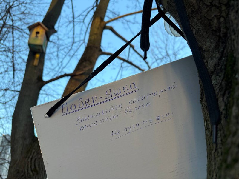 Иллюстрация 4