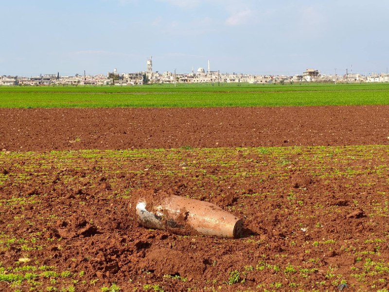 Иллюстрация 2