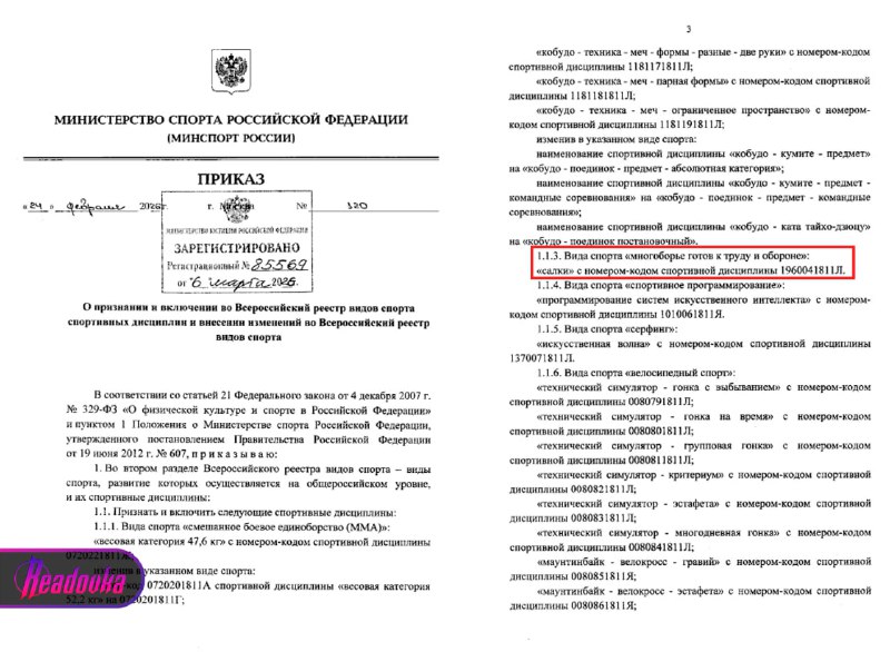 Салки, бросок шайбы и «русская тройка» стали официальными видами спорта в России
