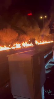 Иллюстрация 4