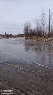 В Красногвардейском районе Петербурга разлилась река из-за таяния снега