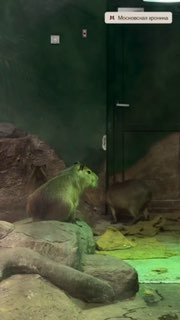 Иллюстрация 2