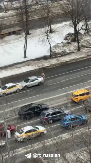 Семь машин столкнулись в цепочку на Алтуфьевском шоссе в Москве
