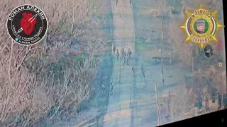 Иллюстрация 1