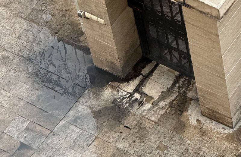 Иллюстрация 3