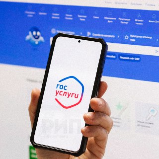 Путин разрешил подавать заявления о поиске граждан через Госуслуги