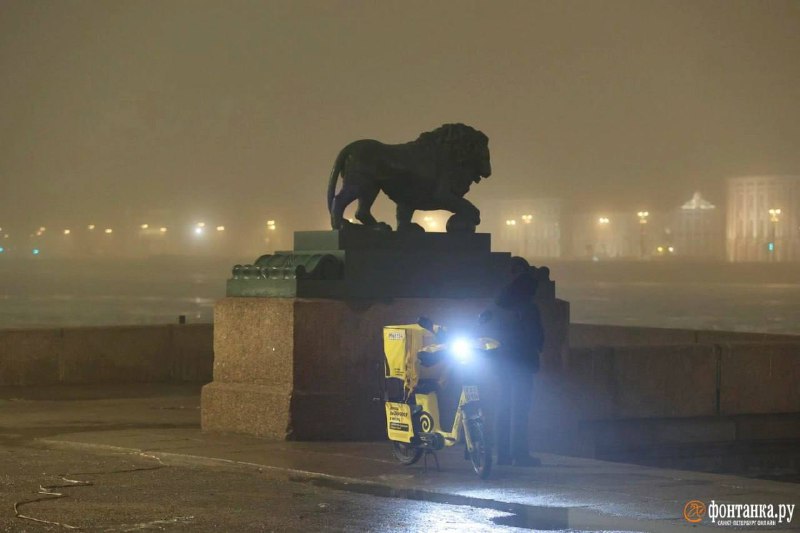 Иллюстрация 5