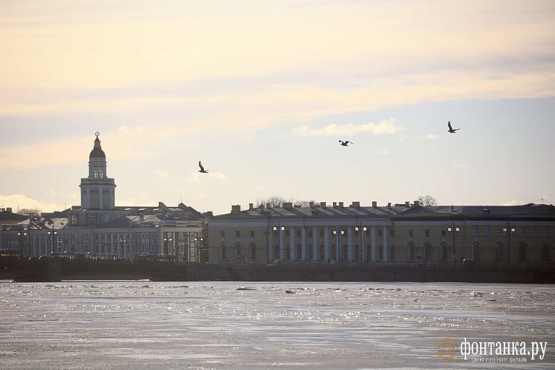 Потепление до +7 градусов ожидается сегодня в Питере