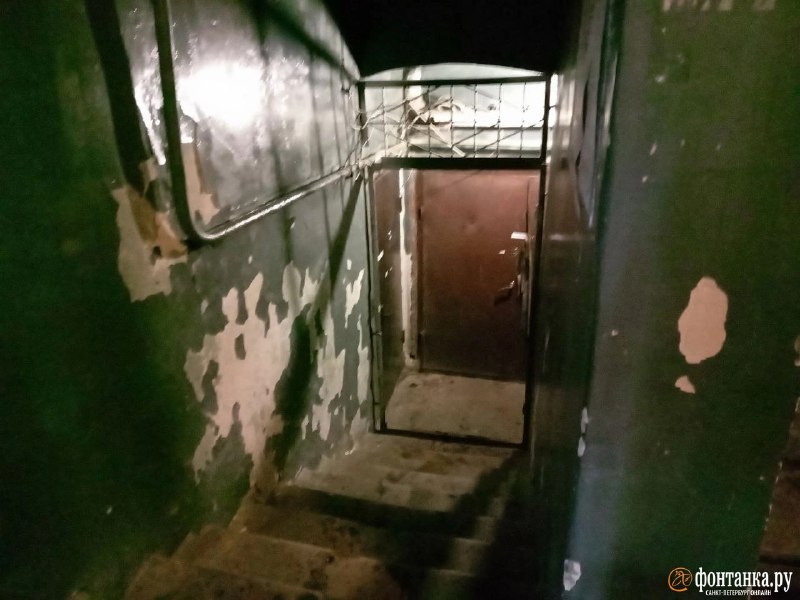 Иллюстрация 4