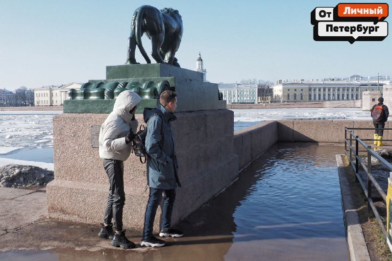 Иллюстрация 2