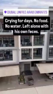 Банкиры эвакуируются из Дубая на фоне конфликта на Ближнем Востоке