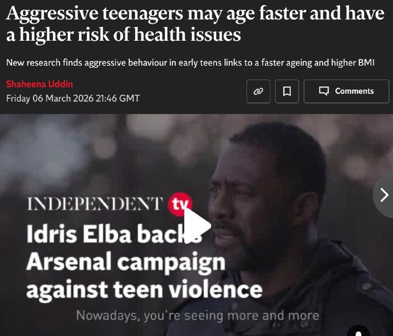 Учёные: подростковая агрессия сокращает жизнь